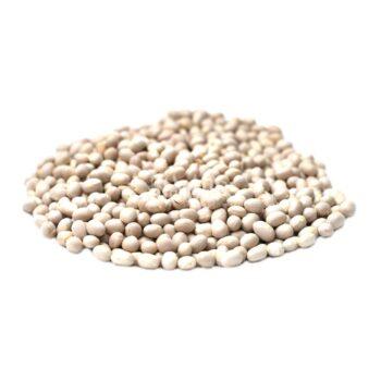 Квасоля Navy beans