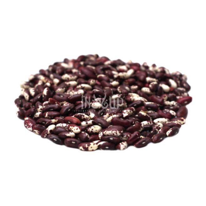 Квасоля Ластівка