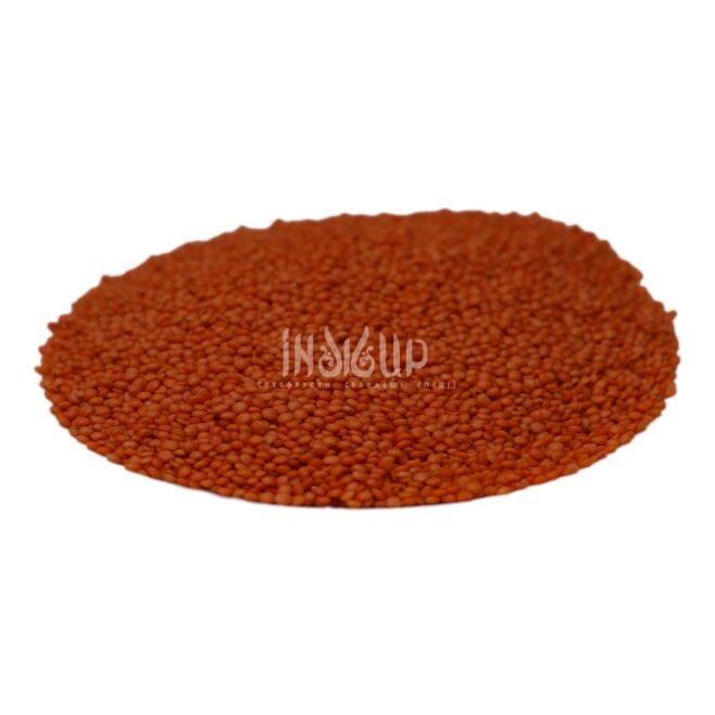 Червона сочевиця